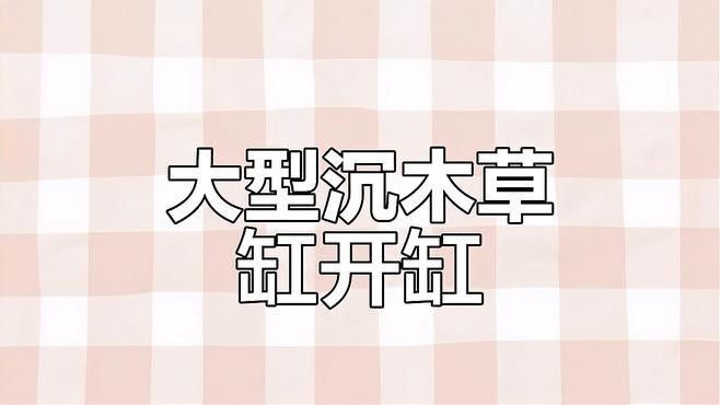 沉木造景需要哪些配套設(shè)備：沉木造景的配套設(shè)備根據(jù)缸體尺寸和造景風(fēng)格選擇