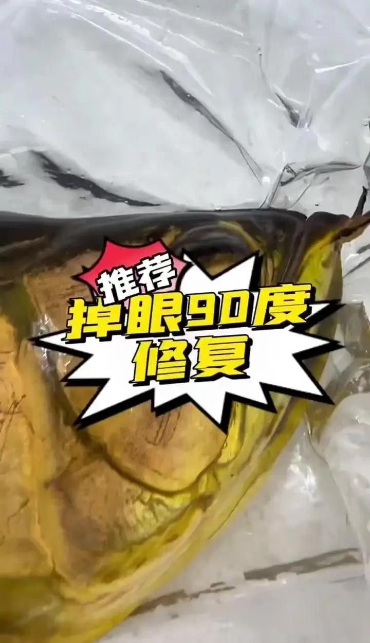 信陽魚缸定制哪家好信陽魚缸定制哪家好些和信陽魚缸定制哪家好些，信陽魚缸定制哪家好些