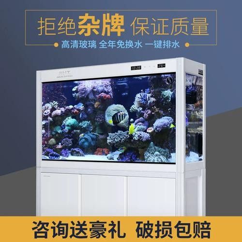 閩江免換水系列哪個型號性價比最高？：閩江免換水系列哪個型號最適合新手閩江免換水系列