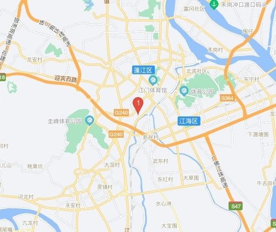 江門哪里可以買到龍魚：在江門市