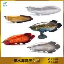 金龍魚魚缸價格范圍：金龍魚魚缸價格