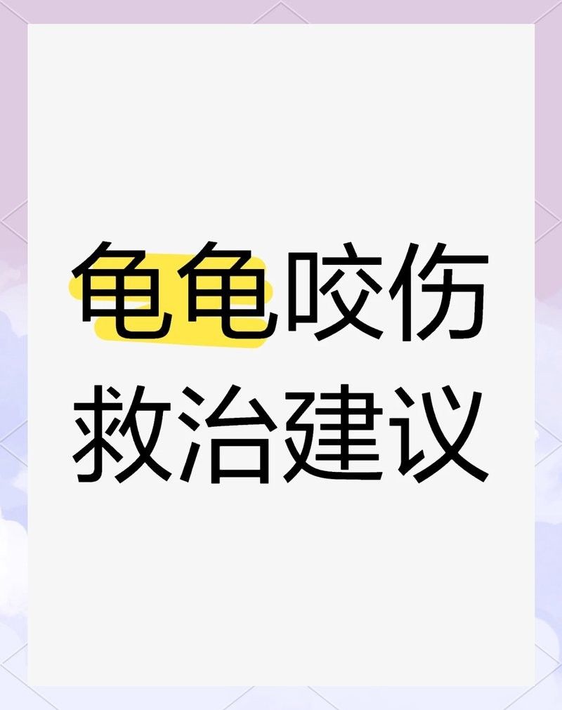 豬鼻龜被咬傷后如何處理？：烏龜咬傷怎么處理