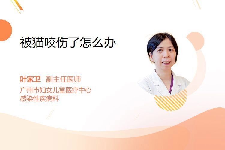 龍貓咬傷后需要就醫嗎？：被龍貓咬傷了怎么辦 龍貓咬傷后需要就醫嗎？：被龍貓咬傷了怎么辦 龍魚百科 第3張