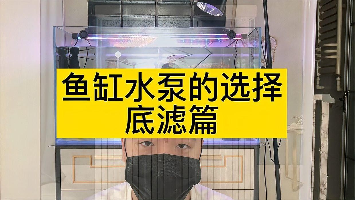 底濾系統需要多大的功率水泵？：萌寵百科小團團團團團團團團團團團團團團團團團團團團團團團團團