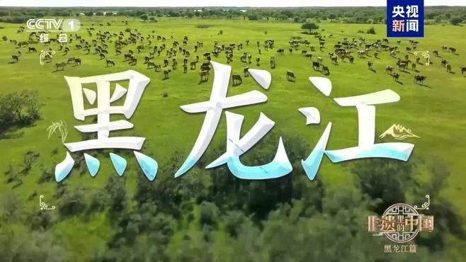 黑龍江非遺技藝在現代有哪些創新應用：黑龍江非遺技藝在現代創新應用中展現出多元融合活力 黑龍江非遺技藝在現代有哪些創新應用：黑龍江非遺技藝在現代創新應用中展現出多元融合活力 龍魚百科 第2張