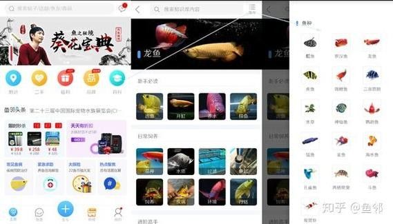 龍巔魚鄰APP如何使用？：龍巔-水族、文玩、寵物交流交易平臺