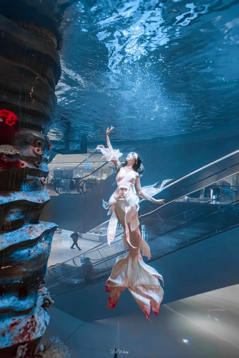 龍魚世家水族館哪個分館最大？：龍魚世家水族館分館信息