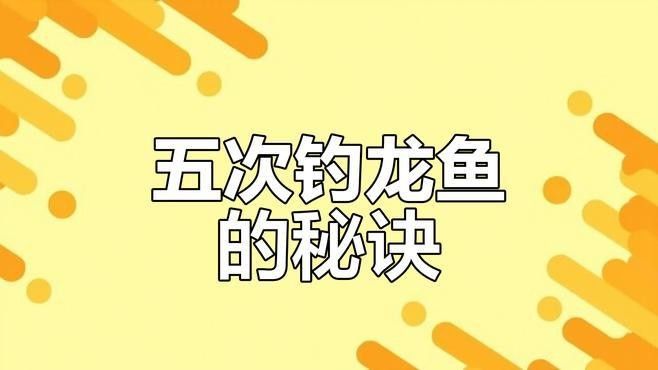 南屏山龍魚多久刷新一次：《奧比島》南屏山龍魚刷新頻率奧比島釣龍魚技巧大揭秘