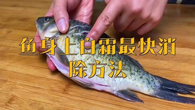 雷龍魚白霜病會傳染嗎：雷龍魚白霜?。ㄍǔ１憩F為白點或絮狀物）具有較強傳染性