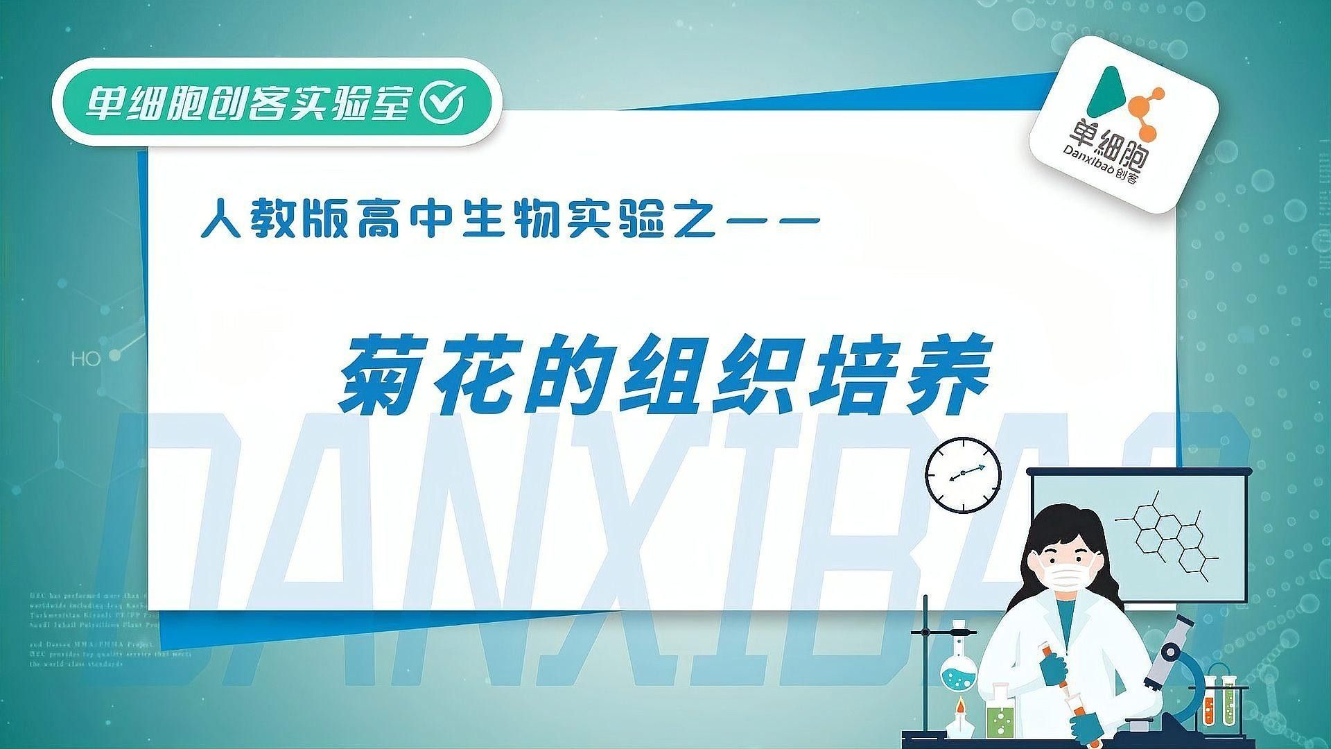組織培養(yǎng)的具體步驟是什么：植物組織培養(yǎng)的具體步驟