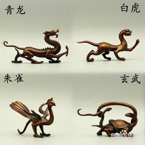 鳳凰龍魚能長多大：關于鳳凰龍魚的體型需要區分兩種常見情況：鳳凰魚與龍魚的區別