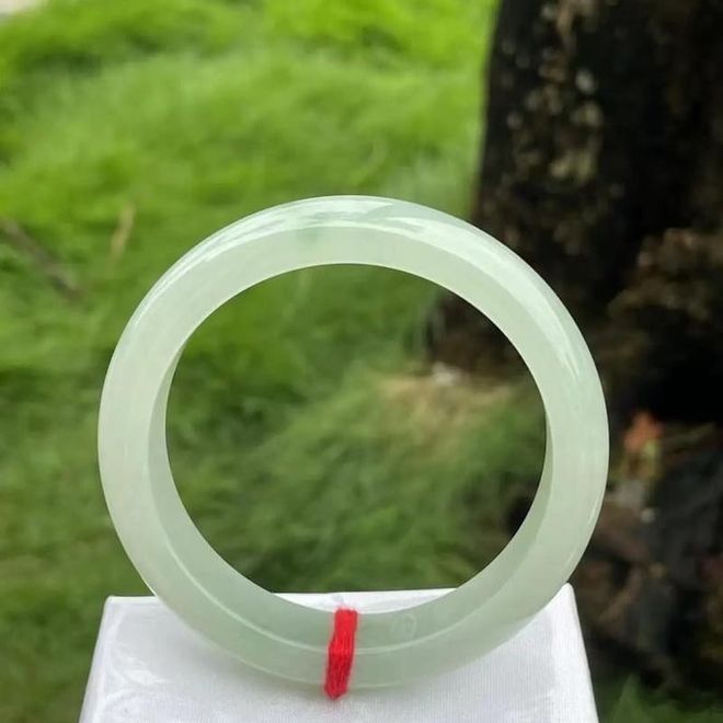 翡翠綠金龍魚的市場需求如何：翡翠綠金龍魚價(jià)格表