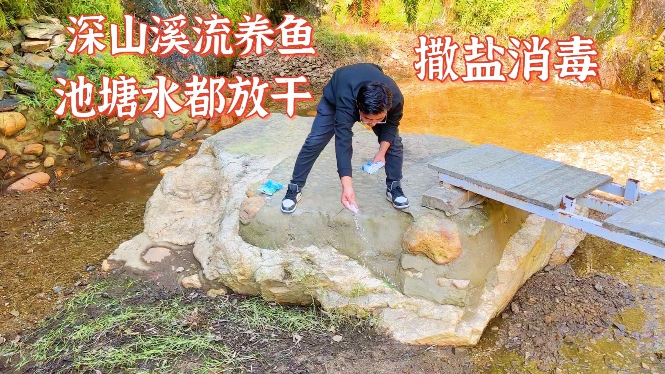 消毒后多久可以放魚？：消毒后放魚時間需根據消毒劑類型、用量及環境條件綜合判斷