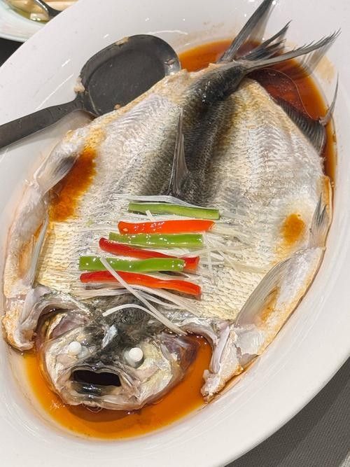 金龍魚哪個系列口感最好：金龍魚怎么選