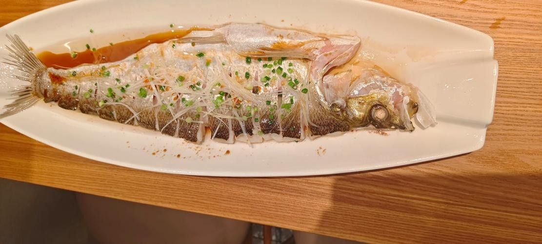 金龍魚哪個系列口感最好：金龍魚怎么選