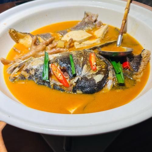 婁底九龍魚頭有哪些招牌菜？：去婁底九龍魚頭吃飯需要預約嗎湘菜十大招牌帶你領略火辣湘味精髓