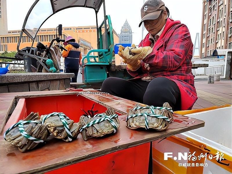 海峽水產品交易中心有哪些知名商戶：全國規模最大的水產品交易中心