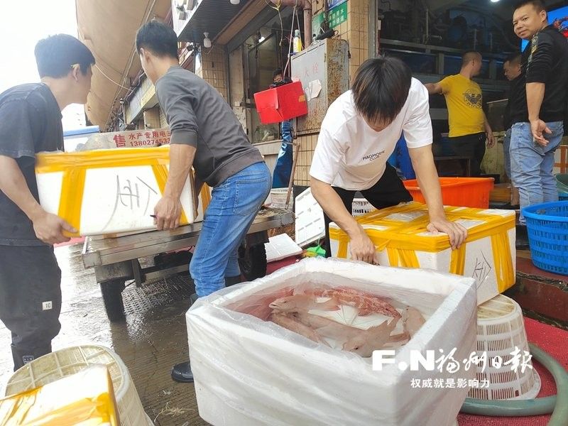 海峽水產品交易中心有哪些知名商戶：全國規模最大的水產品交易中心