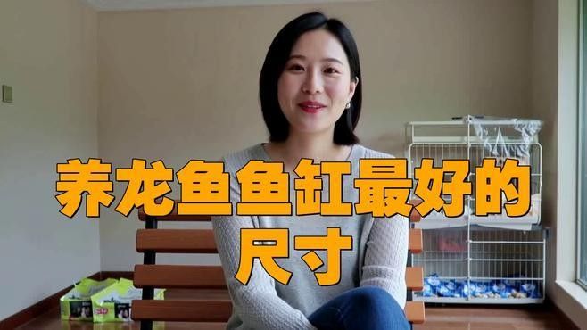 B級過背金龍魚需要多大的魚缸：金龍魚養殖基礎尺寸標準，進階配置建議