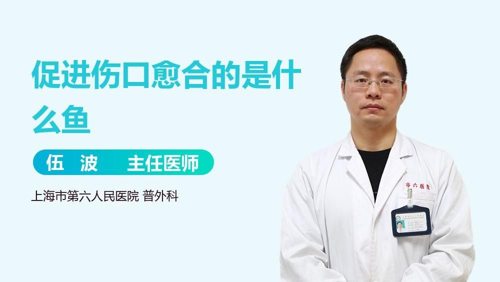 哪些魚類適合手術后食用？：手術后恢復傷口的魚 哪些魚類適合手術后食用？：手術后恢復傷口的魚 龍魚百科 第2張