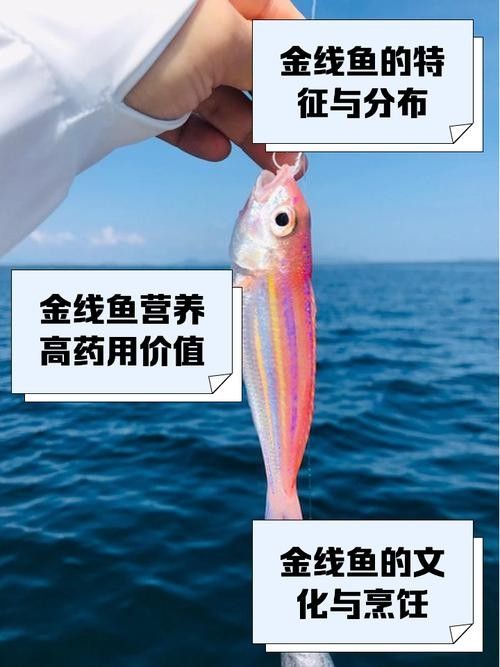 如何區分真假金龍魚銅線？：如何區分真假金龍魚銅線