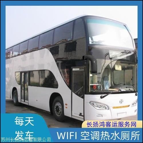 如何前往海口金龍魚批發市場：北京到海口金龍魚批發市場怎么走 如何前往海口金龍魚批發市場：北京到海口金龍魚批發市場怎么走 龍魚百科 第3張