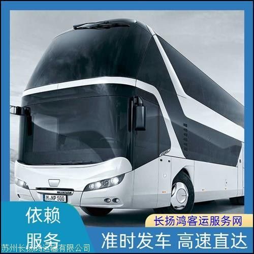 如何前往海口金龍魚批發市場：北京到海口金龍魚批發市場怎么走 如何前往海口金龍魚批發市場：北京到海口金龍魚批發市場怎么走 龍魚百科 第2張