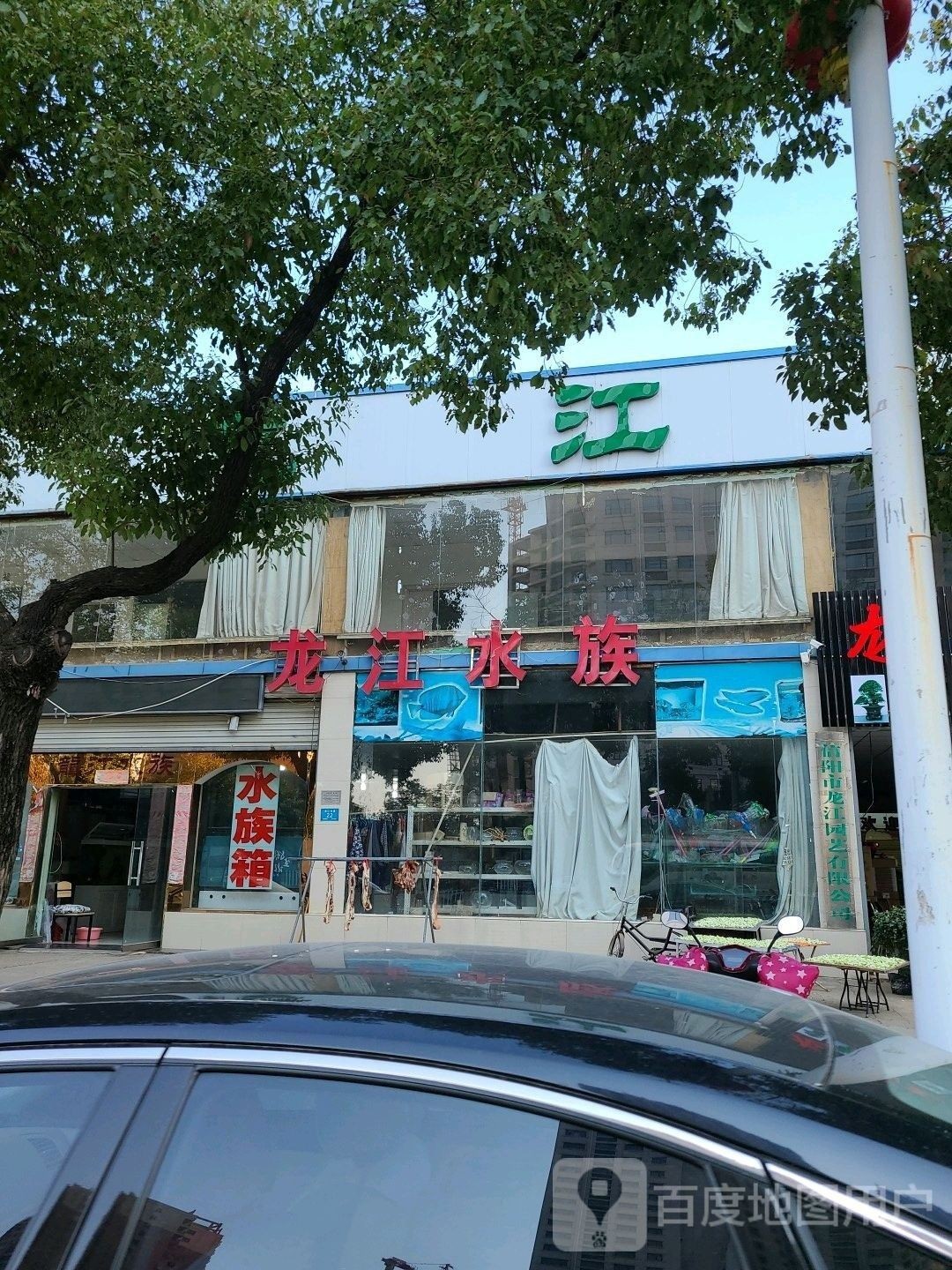 龍江哪個水族館龍魚好？祥龍魚場龍魚：祥龍魚場的龍魚品種有哪些