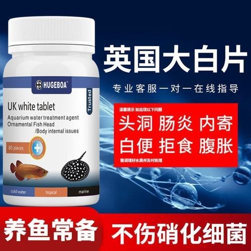 龍魚驅蟲藥有哪些推薦：水族觀賞魚龍魚驅蟲藥推薦及使用建議及使用建議 龍魚驅蟲藥有哪些推薦：水族觀賞魚龍魚驅蟲藥推薦及使用建議及使用建議 龍魚百科 第2張