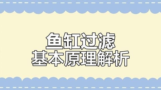 如何判斷龍魚缸過濾器是否工作正常：判斷龍魚缸過濾器是否工作正常的幾個關鍵步驟