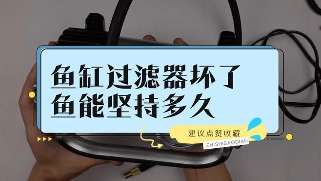 如何判斷龍魚缸過濾器是否工作正常：判斷龍魚缸過濾器是否工作正常的幾個關鍵步驟