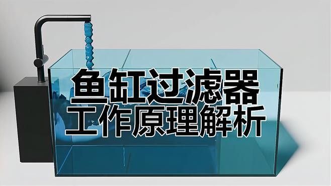 如何判斷龍魚缸過濾器是否工作正常：判斷龍魚缸過濾器是否工作正常的幾個關鍵步驟