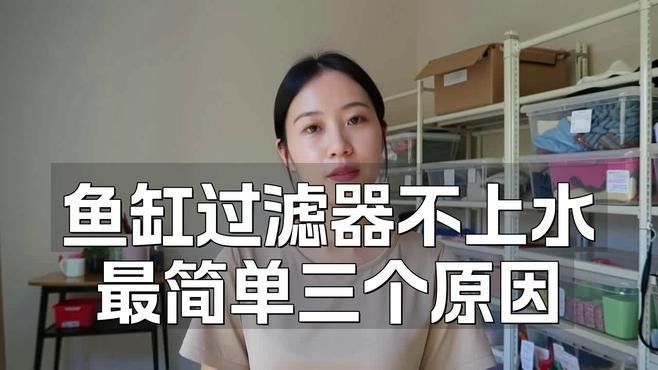 如何判斷龍魚缸過濾器是否工作正常：判斷龍魚缸過濾器是否工作正常的幾個關鍵步驟