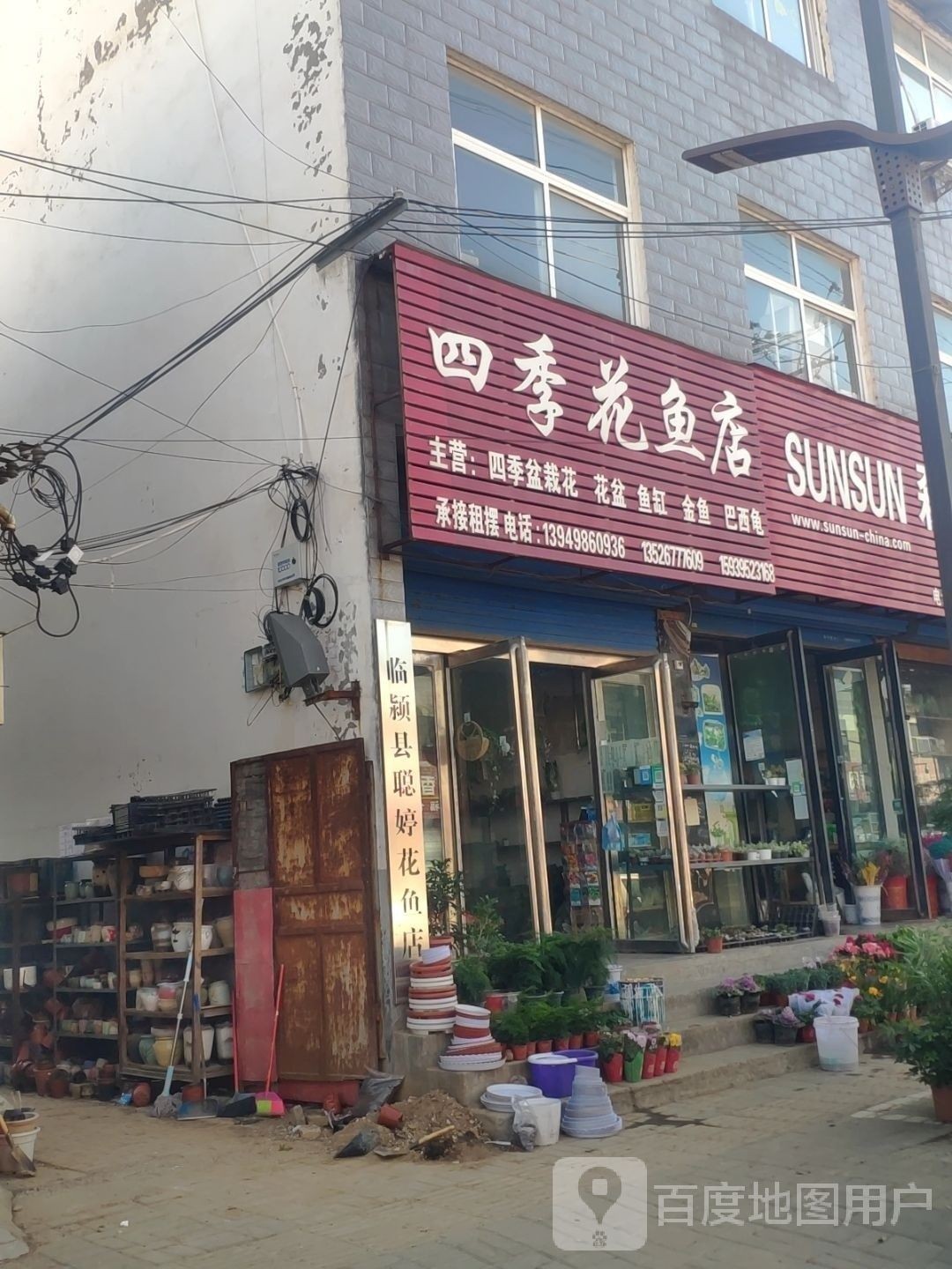 臨潁哪個水族館龍魚好？祥龍魚場龍魚：臨潁縣祥龍魚場