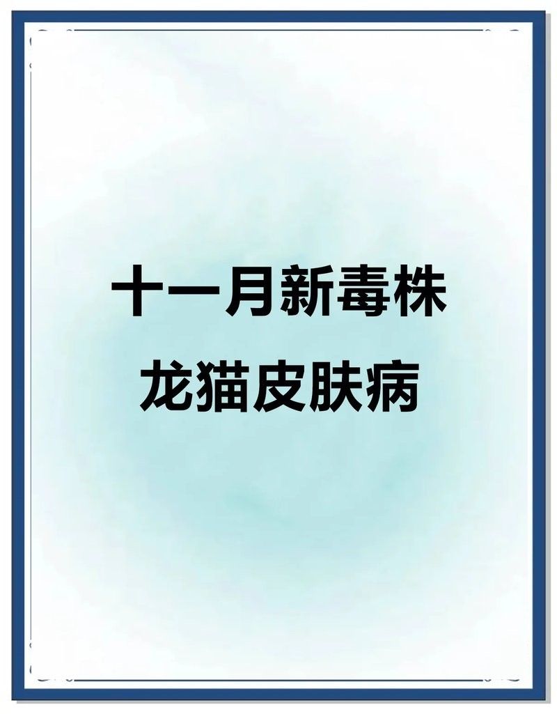 龍貓真菌感染會自愈嗎？：龍貓真菌感染是否能自愈