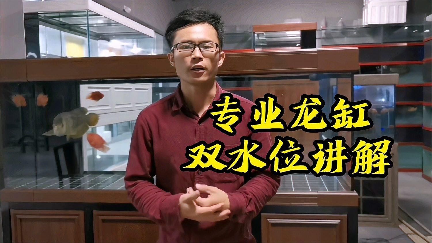 如何設(shè)置龍魚(yú)缸的雙水位：如何設(shè)置龍魚(yú)缸雙水位 如何設(shè)置龍魚(yú)缸的雙水位：如何設(shè)置龍魚(yú)缸雙水位 龍魚(yú)百科 第1張