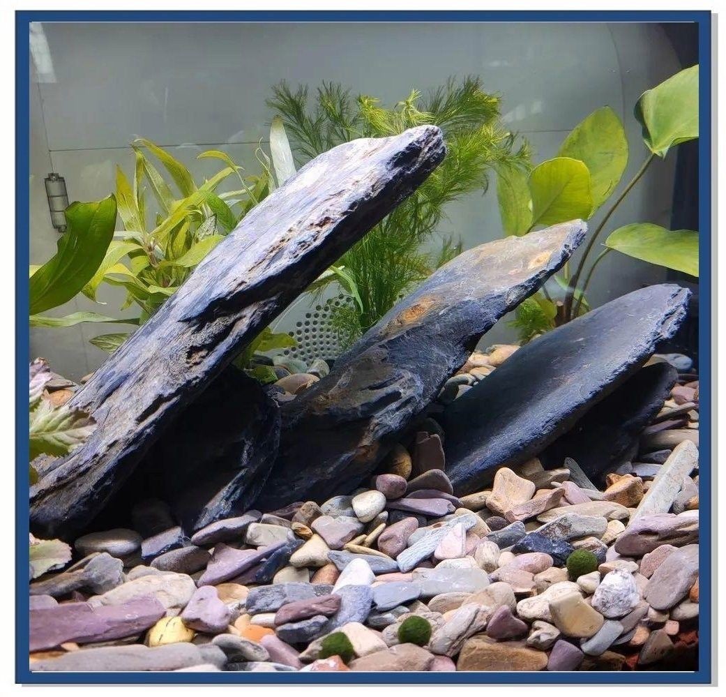 如何選擇適合龍魚的底沙：如何選擇適合的龍魚底沙