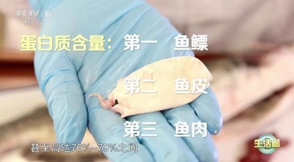 龍魚吃蜈蚣能增色嗎：養魚小藝龍魚吃蜈蚣的利與弊時空漫游龍魚吃蜈蚣的利與弊時空漫游