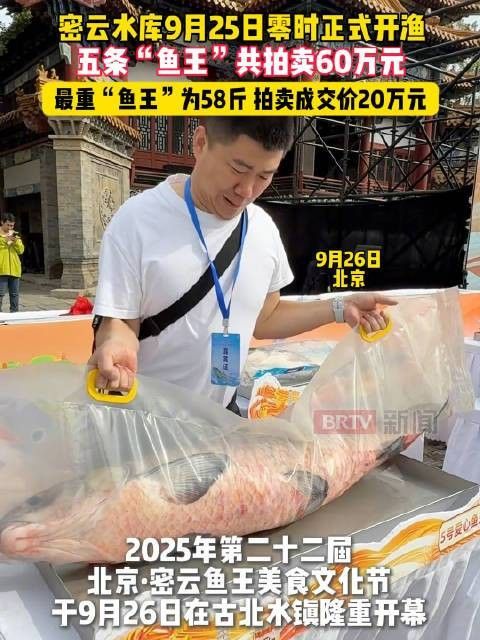 龍魚的價格差異大嗎？：龍魚價格揭秘:從頂級到普通品種的詳細指南平凡偉大夢想