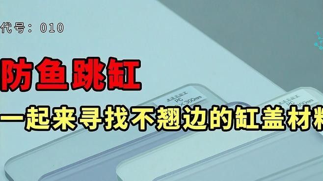 哪種材質(zhì)的龍魚缸加蓋性價(jià)比最高：魚缸蓋怎么選擇 哪種材質(zhì)的龍魚缸加蓋性價(jià)比最高：魚缸蓋怎么選擇 龍魚百科 第3張