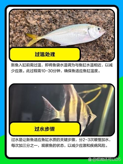 消毒后的小魚可以保存多久？：殺好的魚可以放冰箱保鮮多久 消毒后的小魚可以保存多久？：殺好的魚可以放冰箱保鮮多久 龍魚百科 第5張