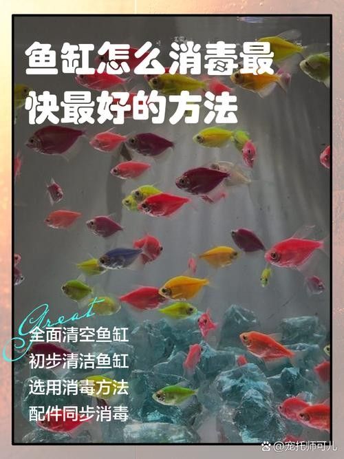 消毒后的小魚可以保存多久？：殺好的魚可以放冰箱保鮮多久 消毒后的小魚可以保存多久？：殺好的魚可以放冰箱保鮮多久 龍魚百科 第4張