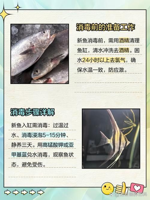 消毒后的小魚可以保存多久？：殺好的魚可以放冰箱保鮮多久 消毒后的小魚可以保存多久？：殺好的魚可以放冰箱保鮮多久 龍魚百科 第1張