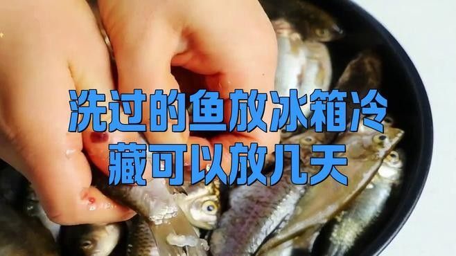 消毒后的小魚可以保存多久？：殺好的魚可以放冰箱保鮮多久 消毒后的小魚可以保存多久？：殺好的魚可以放冰箱保鮮多久 龍魚百科 第7張