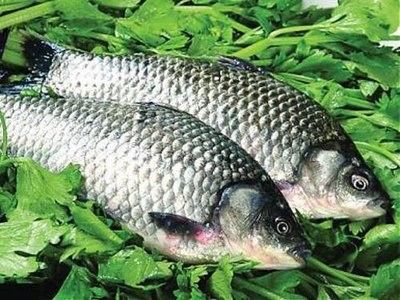 消毒后的小魚可以保存多久？：殺好的魚可以放冰箱保鮮多久 消毒后的小魚可以保存多久？：殺好的魚可以放冰箱保鮮多久 龍魚百科 第12張