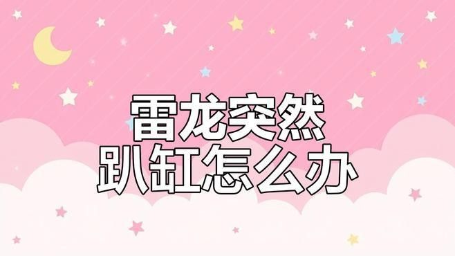 哪些因素可能導致雷龍魚趴缸：關于雷龍魚趴缸問題