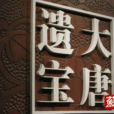 何家村窖藏的發現過程：何家村窖藏:大唐遺寶 何家村窖藏的發現過程：何家村窖藏:大唐遺寶 龍魚百科 第8張