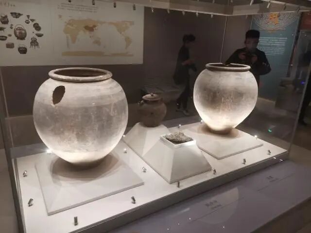 何家村窖藏的發現過程：何家村窖藏:大唐遺寶 何家村窖藏的發現過程：何家村窖藏:大唐遺寶 龍魚百科 第7張
