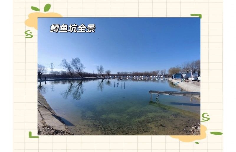 這兩家漁場的價格如何？：常興莊漁場和太公釣場價格對比 這兩家漁場的價格如何？：常興莊漁場和太公釣場價格對比 龍魚百科 第7張