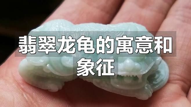 給我推薦幾款龍龜吊墜：12款受歡迎的龍龜吊墜推薦 給我推薦幾款龍龜吊墜：12款受歡迎的龍龜吊墜推薦 龍魚百科 第9張